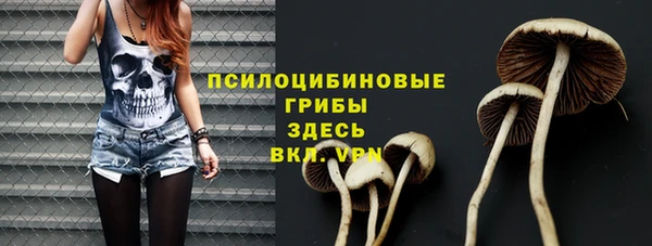 бошки Белокуриха