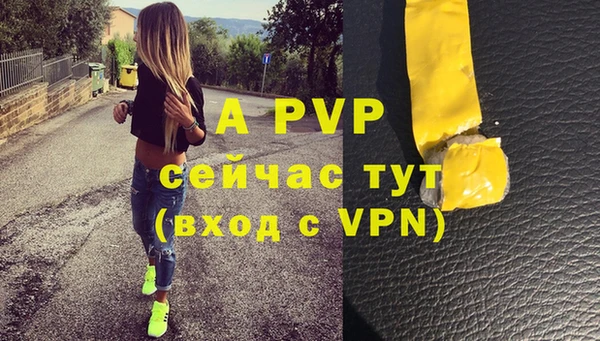 бошки Белокуриха