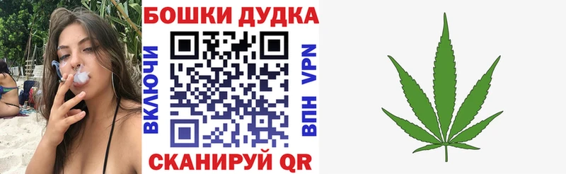 Канабис семена  где продают наркотики  Чкаловск 